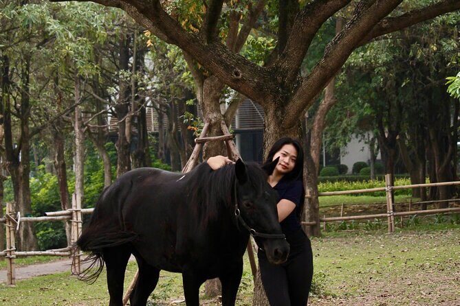 Hanoi Horseback Riding Tour - Exclusive Experience - Authentic Experiences and Positive Feedback