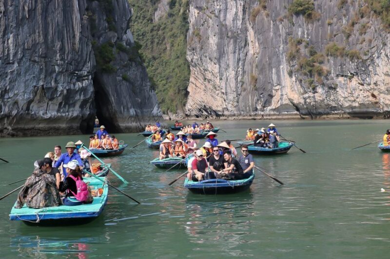 Hanoi: Islands & Caves Ha Long Cruise with Lunch & Kayaking - Who Will Love This Tour?