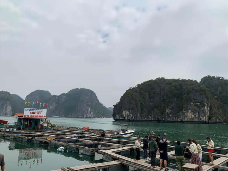 Hanoi: Lan Ha Bay Boat Tour - Lunch, Beach, Kayaking - FAQ