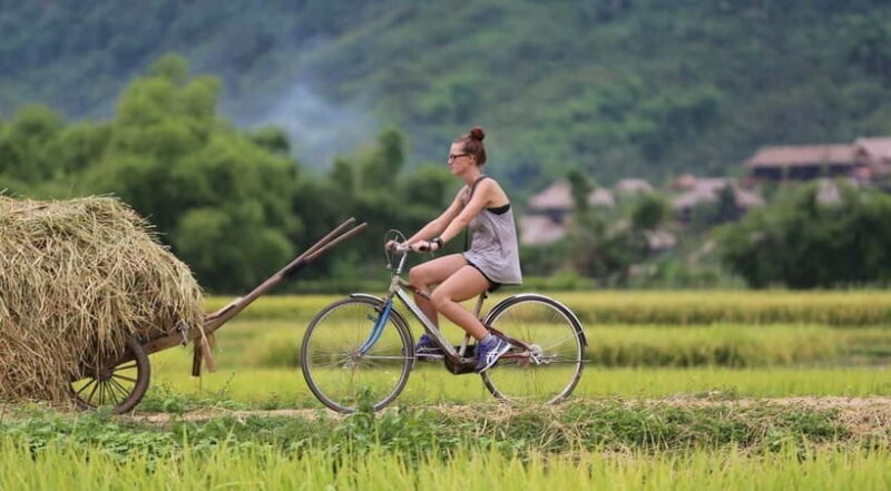 Hanoi: Mai Chau Valley Day Tour - Authentic Lunch & Cycling - Key Points