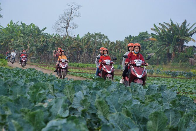 Hanoi Motorbike Tours Led By Women: Hanoi Countryside Motorbike Tours - An In-Depth Look at the Hanoi Countryside Motorbike Tour