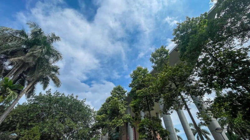 Hanoi: Museum of Ethnology and Quang Phu Cau Incense Village - Key Points