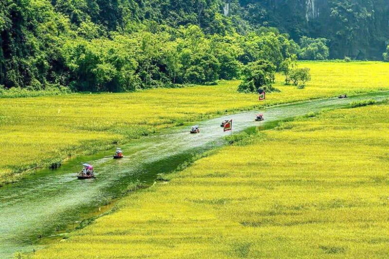 Hanoi: Ninh Binh, Tam Coc, Mua Cave & Hoa Lu with cycling - What Makes This Tour Stand Out