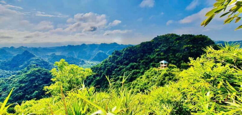 Hanoi: Pearl Island of Cat Ba 2-Day Cruise with Kayaking - Accommodations and Overall Comfort