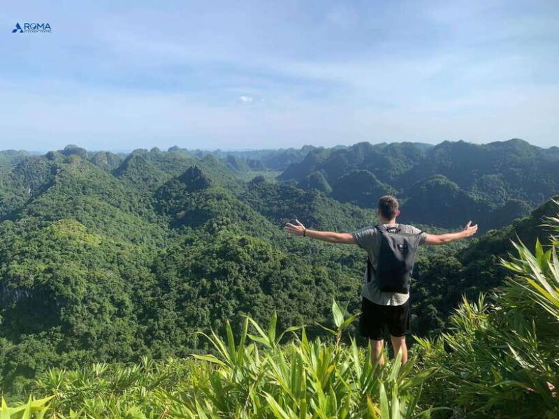 Hanoi: Pearl Island of Cat Ba 2-Day Cruise with Kayaking - Final Thoughts: Who Is This Tour For?