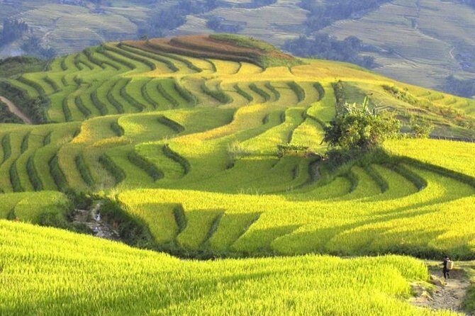 Hanoi-Sapa Trek 2 days 2 nights and Homestay with small group - Who Will Love This Tour?