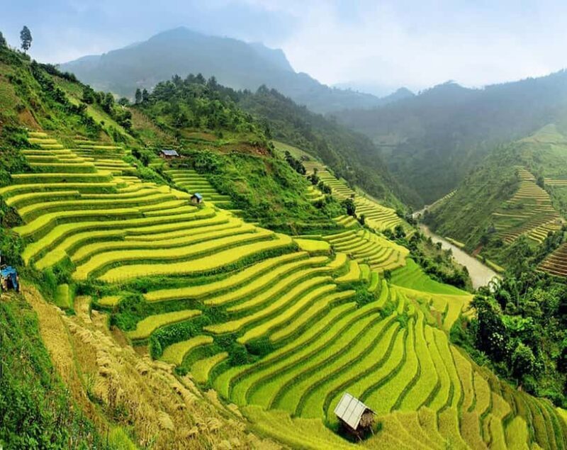 Hanoi: Sapa Trekking 2 Days 1 Night Transfer with Cabin Bus - Key Points
