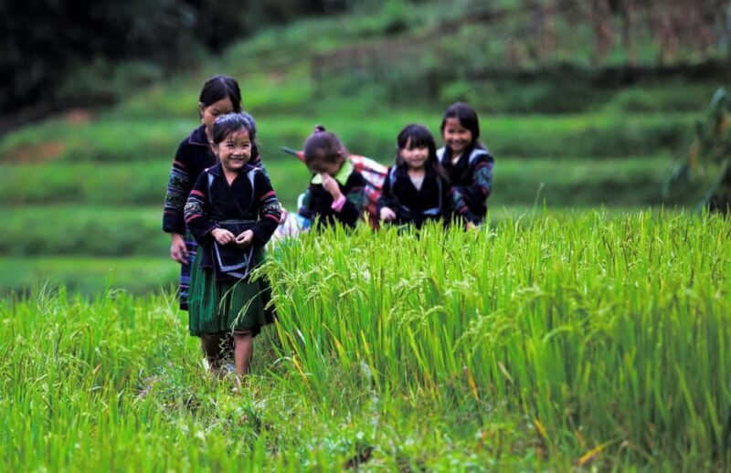 Hanoi: Sapa Trekking 2 Days 1 Night Transfer with Cabin Bus - FAQs
