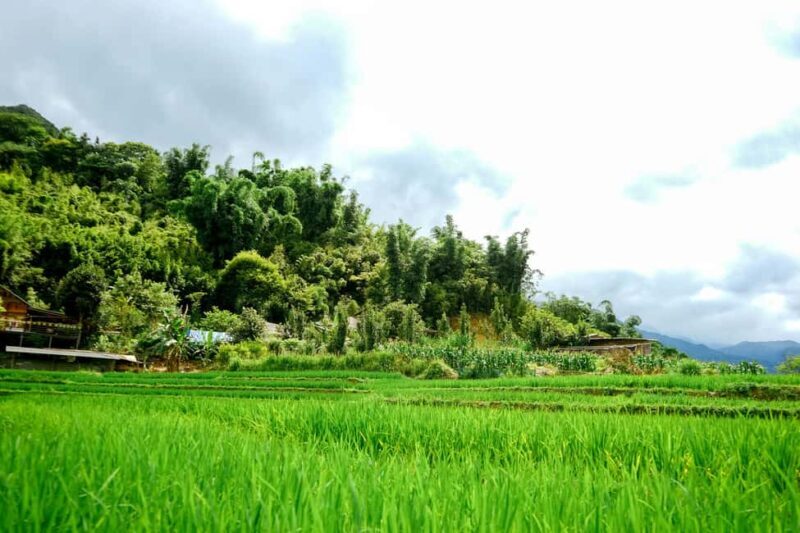 Hanoi: Sapa Trekking Tour with Bus Transfer & Homestay - Who Will Love This Tour?