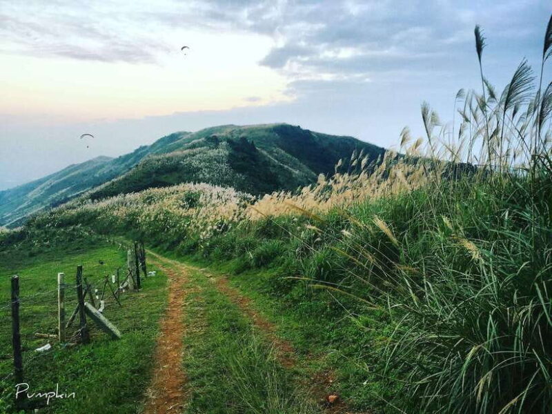 Hanoi Sky Tour: Paragliding - Who Should Consider This Tour?