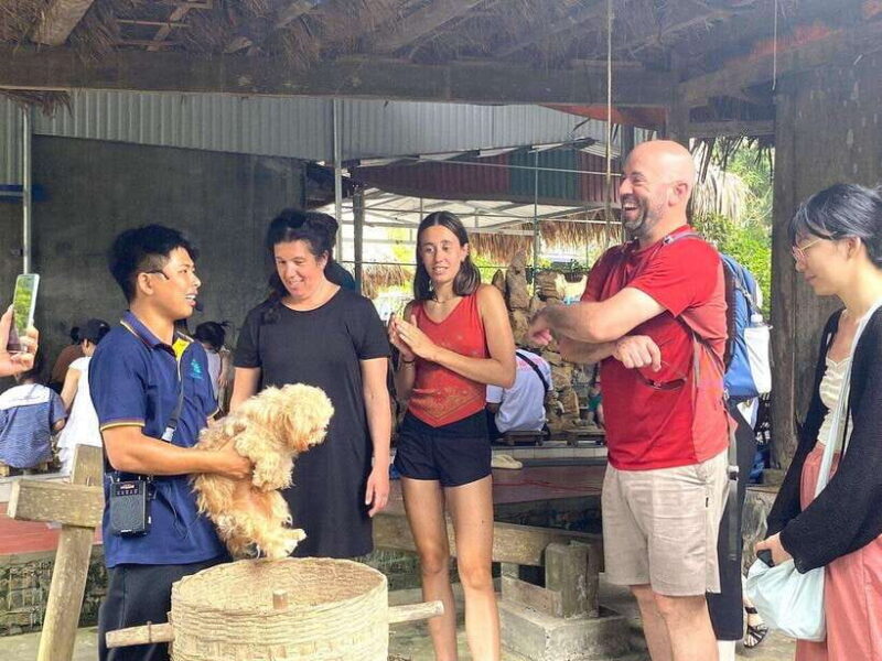 Hanoi: The Most Luxurious Lan Ha Bay Day Cruise with Biking - Water Activities and Adventure