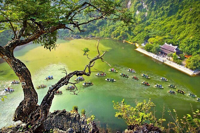 Hanoi to Ninh Binh: Hoa Lu, Trang An Boat & Mua Cave Day Tour - Discover Ninh Binh: Hoa Lu, Trang An, and Mua Cave – An Authentic Day Trip from Hanoi