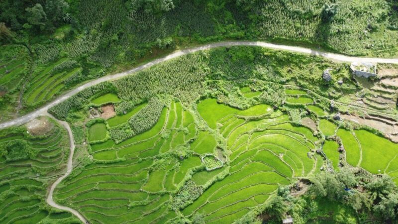 Hanoi to Sapa: Terraced Fields, Culture & Cuisine  3 Days - What Does This Tour Mean for You?