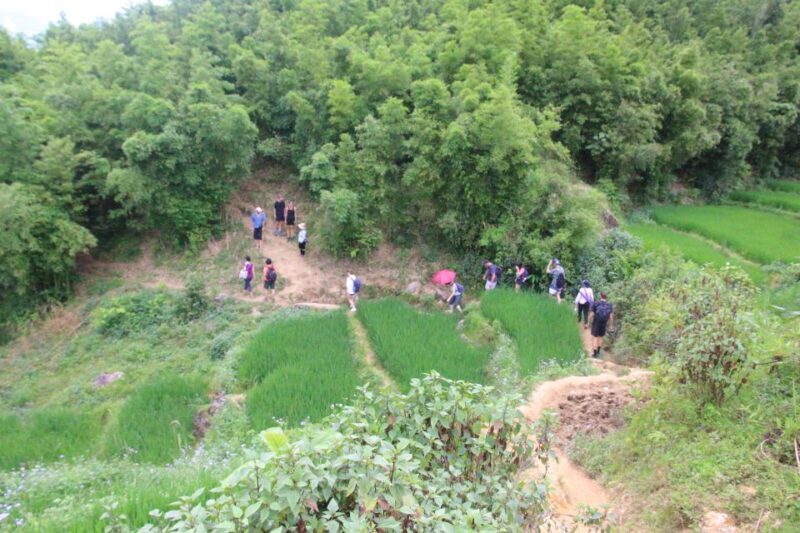 Hanoi to Sapa: Terraced Fields, Culture & Cuisine  3 Days - Who Should Consider This Tour?