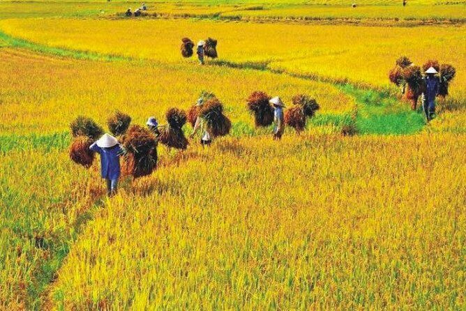 Hanoi Vespa Countryside Tour With Female Ao Dai Riders Half Day - The Experience: Authentic, Fun, and Educational