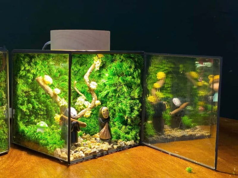 Hanoi: Vietnam National Museum & Terrarium Workshop - Key Points