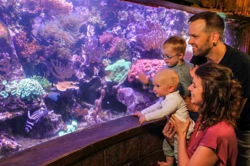 Hanover: SEA LIFE Entry Ticket - Authentic Experiences and Visitor Insights