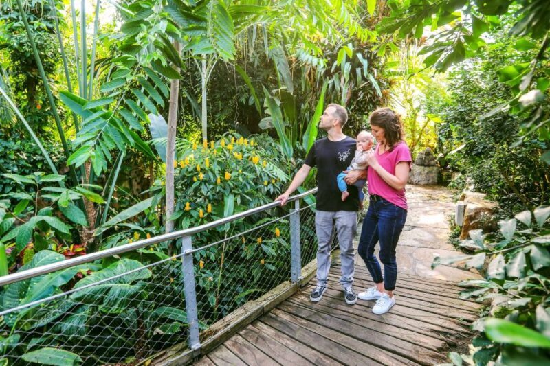 Hanover: SEA LIFE Entry Ticket - Who Will Enjoy This Experience?