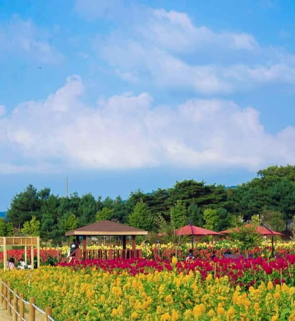 Hantan Canyon & Goseokjeong Flower Garden & Pink Muhly Park - Who Should Book This Tour?