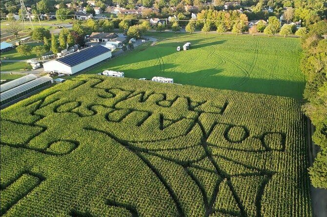 Happy Farm Fun Day Tour from NY | Kids 50% Off - A Day of Fresh Air and Family Fun: Happy Farm from NYC