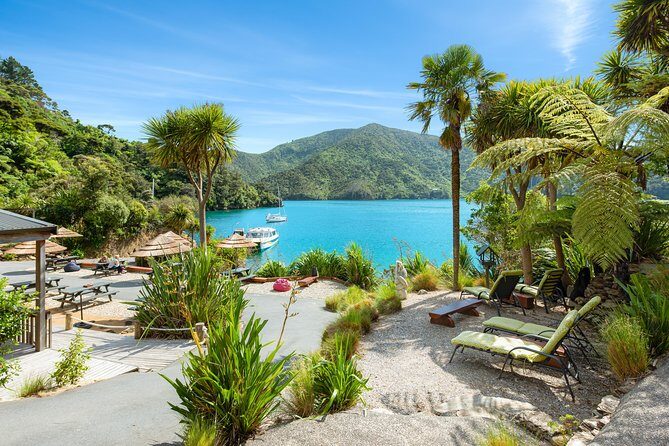 Happy Hour Cruise to Lochmara -from Picton? Take a short cruise - An In-Depth Look at the Lochmara Happy Hour Cruise