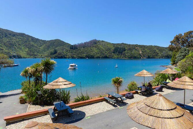 Happy Hour Cruise to Lochmara -from Picton? Take a short cruise - Final Thoughts