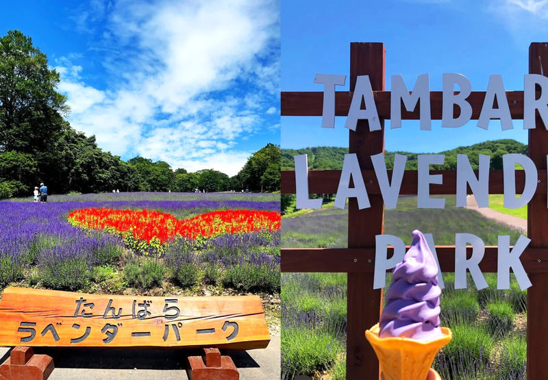 Harada Farm Fruit Picking & Fukiware Falls & Tambara Lavender Park/Ikaho Onsen/Tambara Ski Resort Day Trip (From Tokyo) - Should you book this Gunma day trip?
