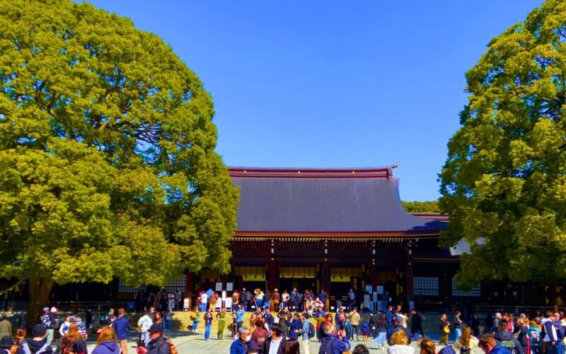 Harajuku : Blend of Tradition & Pop Culture for Family Tour - Key Points