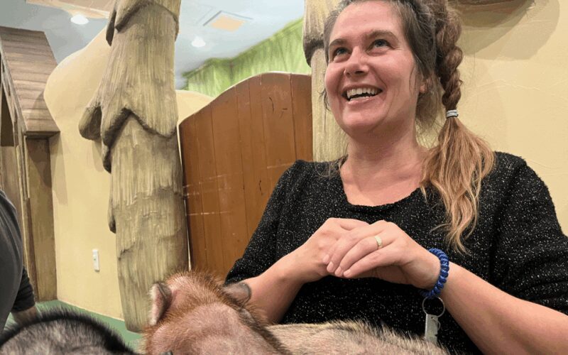 Harajuku : Blend of Tradition & Pop Culture for Family Tour - FAQ