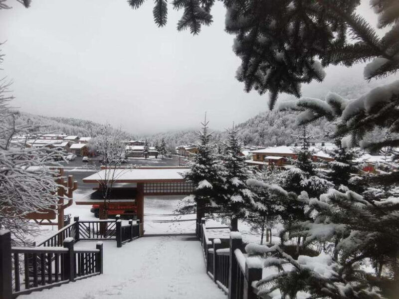 Harbin: 6-Day Harbin Ice Festival and Yabuli Club Med Tour - Exploring the Harbin and Yabuli Experience