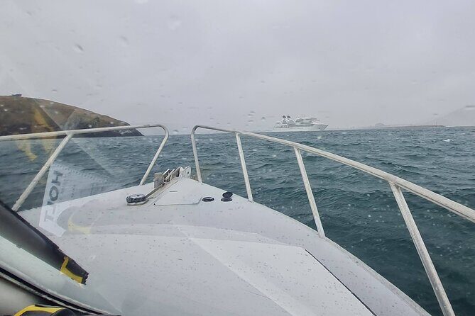 Harbour, Albatross and Wildlife Cruise on Otago Harbour - Frequently Asked Questions