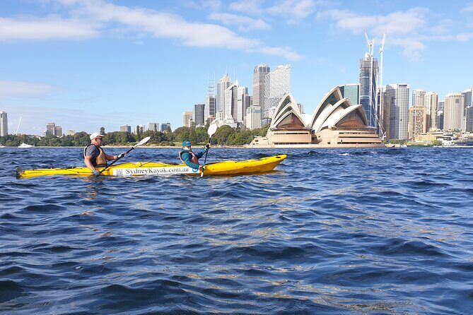 Harbour Bridge Breakfast Paddle - What to Expect on the Water