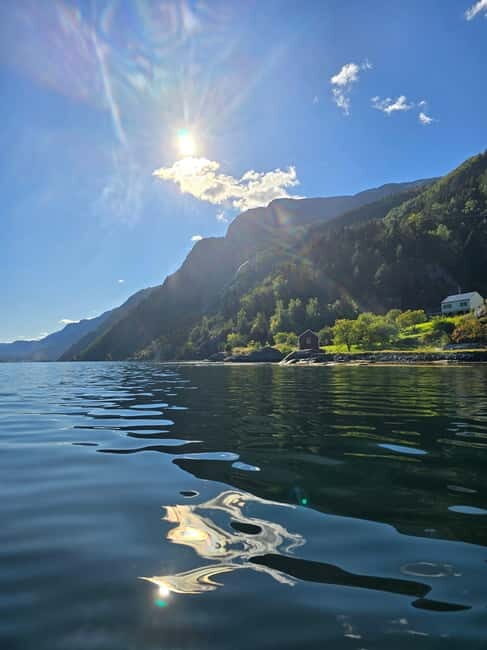 Hardangerfjord: Guided Kayak Tour - An In-Depth Look at the Hardangerfjord Kayak Tour