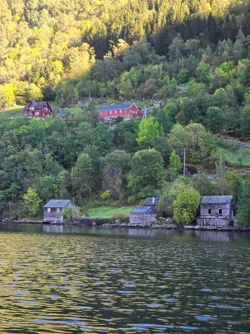 Hardangerfjord: Guided Kayak Tour - Authentic Experiences and Traveler Feedback