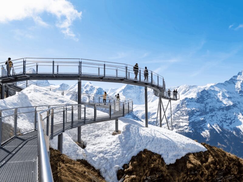 Harder Kulm and Grindelwald Private Day Trip - Key Points