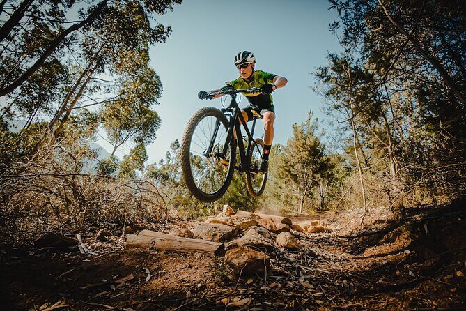 Hardtail Mountain Bike Rental in Breckenridge - Key Points