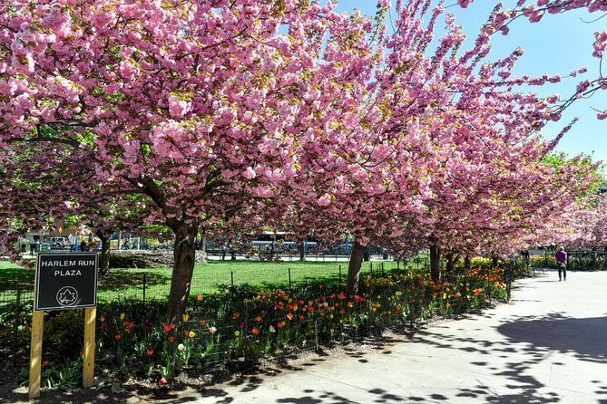 Harlem Walking Tour: Mount Morris Park Historic District w/ Lunch - Frequently Asked Questions