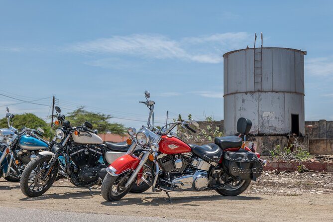 Harley-Davidson RENTALS ONLY 4 hrs - The Ride of a Lifetime: A Deep Dive into the Harley-Davidson Rental Experience in Aruba