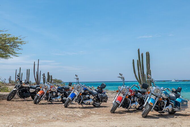 Harley-Davidson RENTALS ONLY 8 hrs - More Details on the Itinerary and Riding Experience