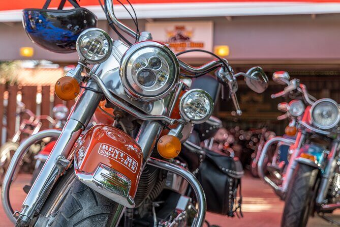 Harley-Davidson RENTALS ONLY 8 hrs - Final Thoughts: Who Should Consider This?