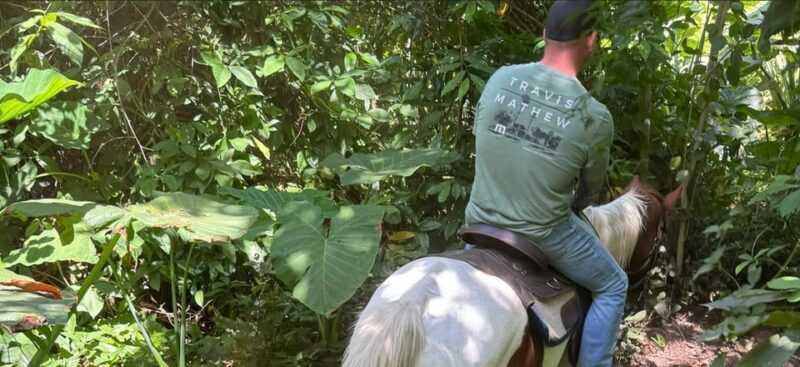 Harmony Horse Riding of Miami - Frequently Asked Questions (FAQs)
