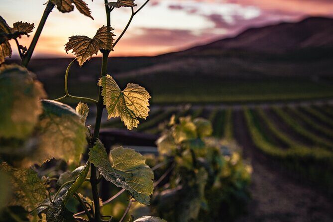 Haro, Laguardia and two Rioja wineries from Bilbao - Key Points
