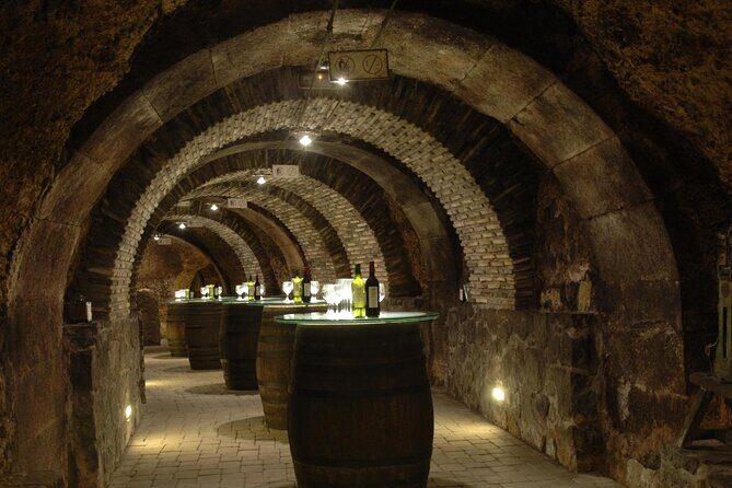 Haro, Laguardia and two Rioja wineries from Bilbao - A Deep Dive into the La Rioja Day Trip