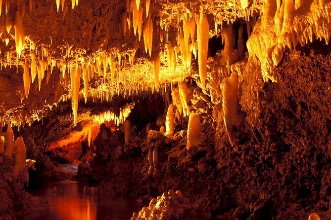 Harrison's Cave Tour in Barbados - Final Thoughts