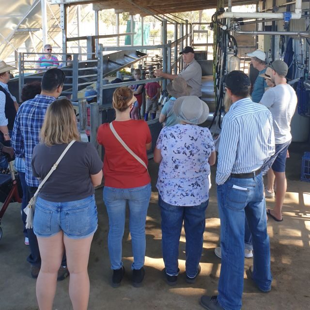 Harrisville: Summer Land Camel Farm Tour with Tasting - Harrisville: Summer Land Camel Farm Tour with Tasting