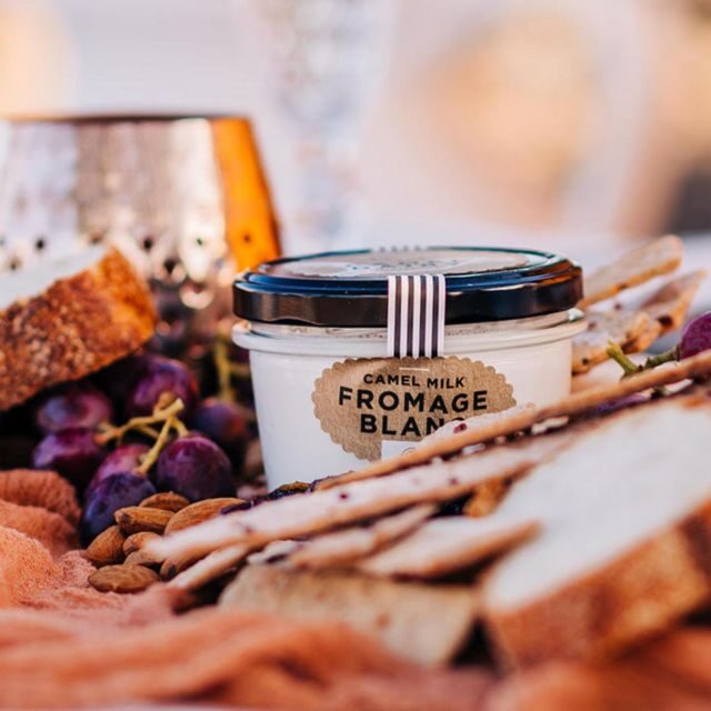 Harrisville: Summer Land Camel Farm Tour with Tasting - Key Points