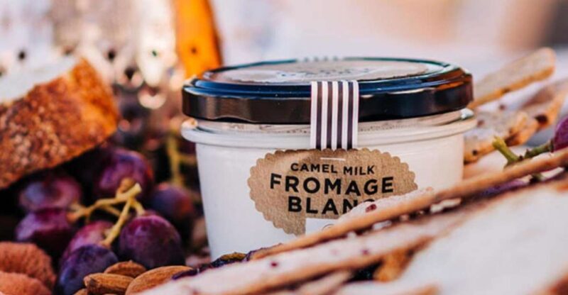 Harrisville: Summer Land Camel Farm Tour with Tasting - Who Will Love This Tour?