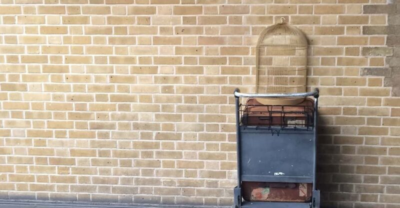 Harry Potter Private Tour of London in Spanish - Considerations on Value & Practicality