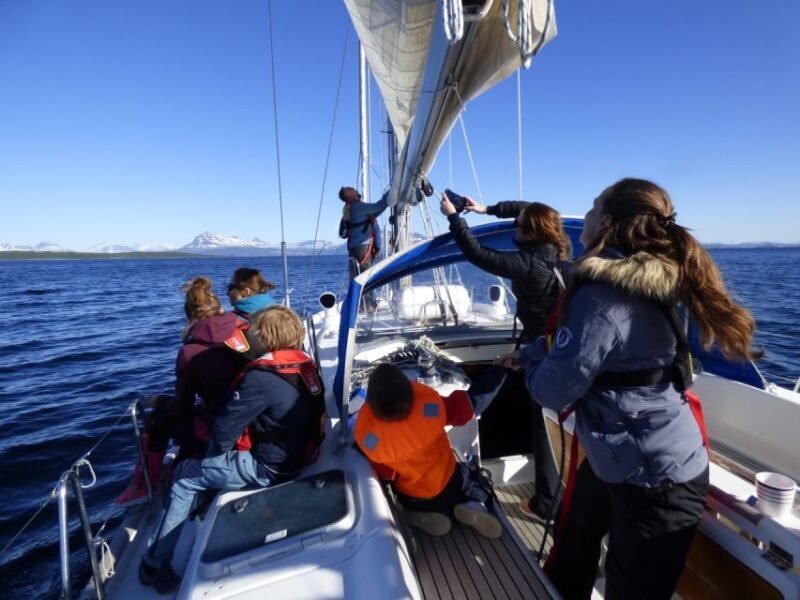 Harstad: Fjordcruise sailing with skipper - A Deep Dive into the Fjordcruise Experience