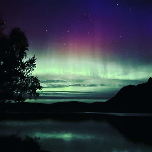 Harstad/Narvik: Northern Lights Tours with second day chance - Who Would Enjoy This Tour?